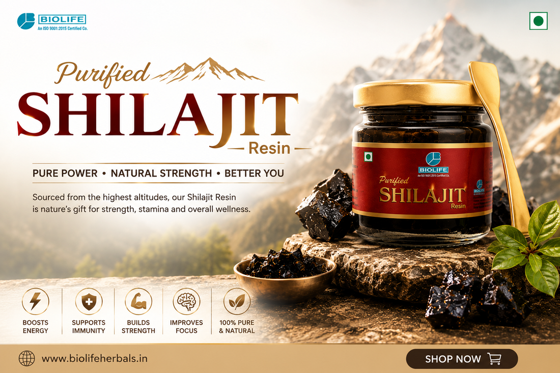 Shilajit Resin: Natural Support for Energy, Strength & Daily Wellness