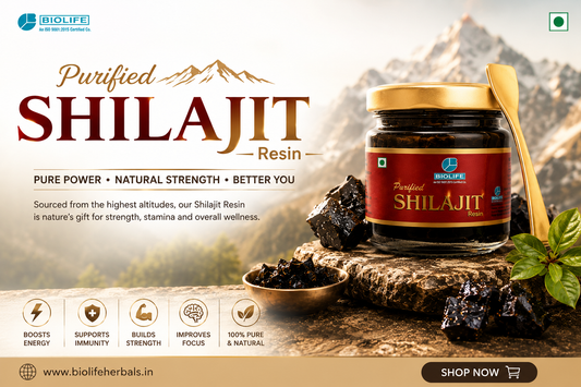 Shilajit Resin: Natural Support for Energy, Strength & Daily Wellness