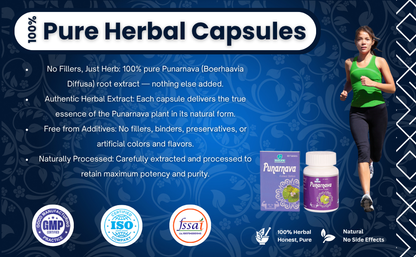 PUNARNAVA EXT. TABLETS| Helps in Weight loose, Digestion, Diabetes & Arthritis| (1x60)