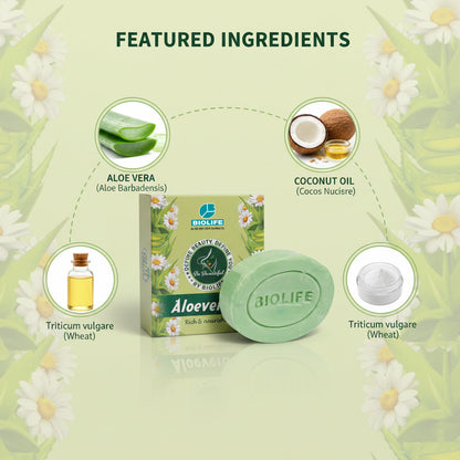 ALOEVERA SOAP | Provide rich nourishment to the skin 75GM