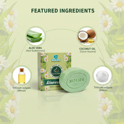 ALOEVERA SOAP | Provide rich nourishment to the skin 75GM (Pack of 3)