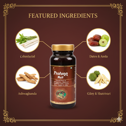 PROTONN MALT | Restore your energy & increase appetite 400ML