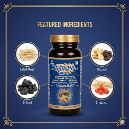 MUSLI PLUS MALT | Promote Stamina, Vigor & Vitality 400ML