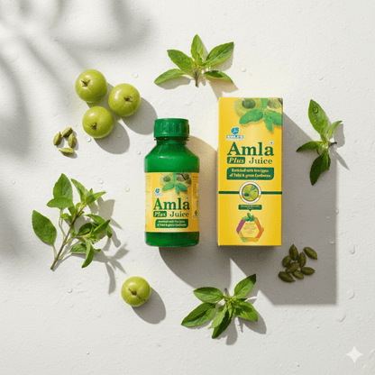 AMLA PLUS JUICE 500ML
