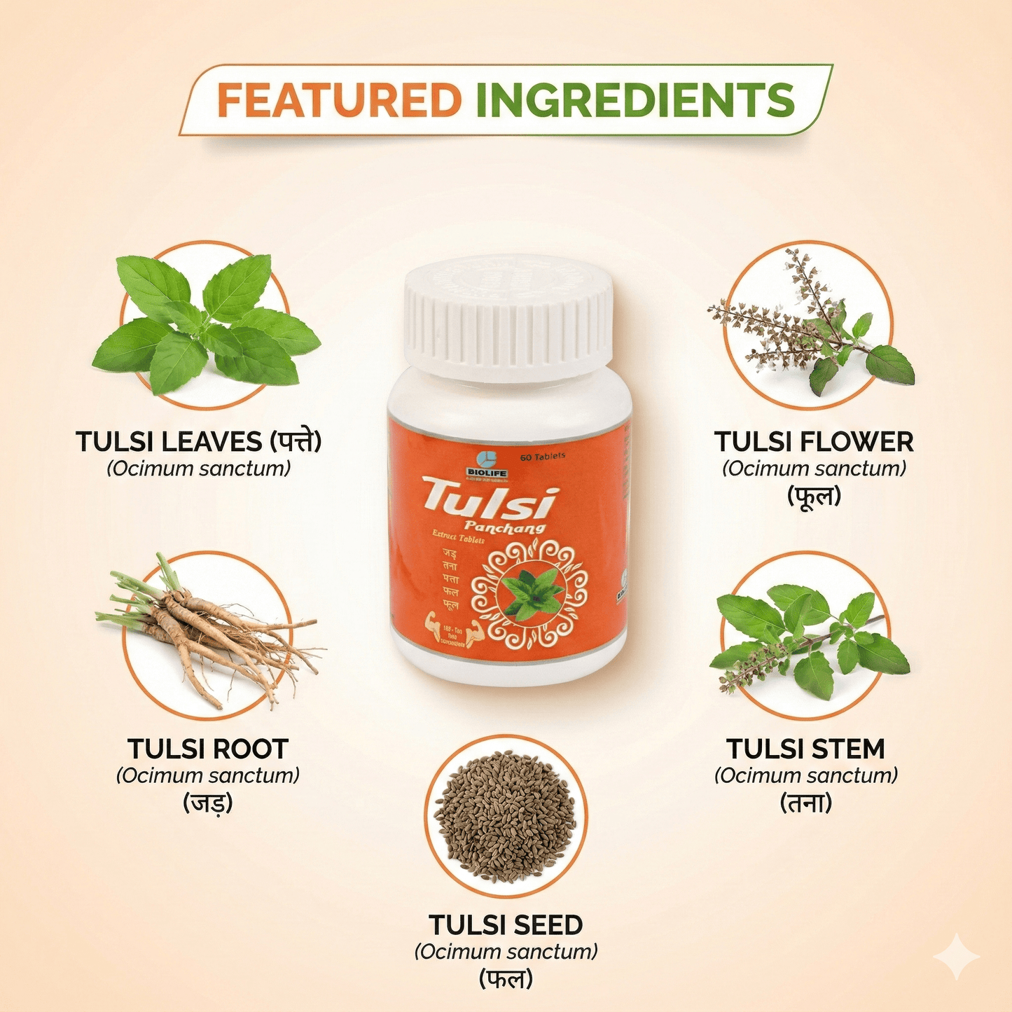 TULSI PANCHANG EXT.TAB| For Digestive, Stamina & Immunity booster| (1x60)