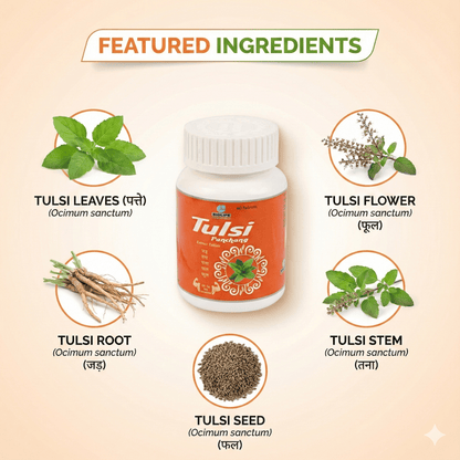 TULSI PANCHANG EXT.TAB| For Digestive, Stamina & Immunity booster| (1x60)