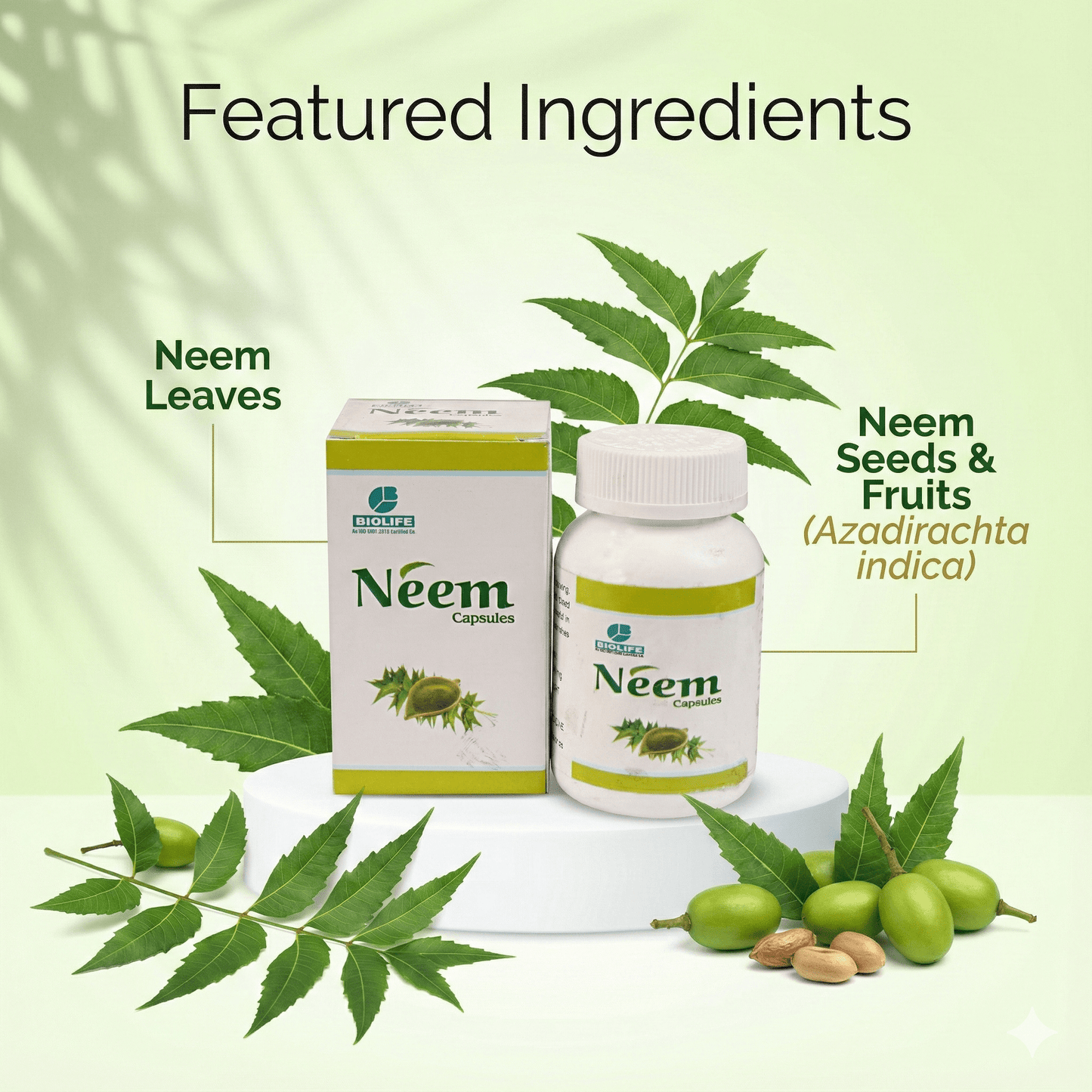 NEEM CAPSULES|  Improve Skin Health and Complexion (1x60)