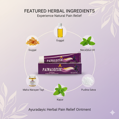 PAINALGESIC OINTMENT | Relief from joint pain and stiffness 25GM