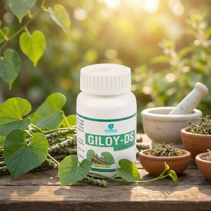 GILOY CAPSULES | Potent Immunity Booster (1x60)