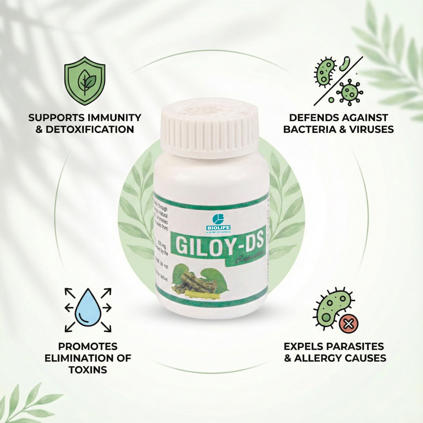 GILOY CAPSULES | Potent Immunity Booster (1x60)