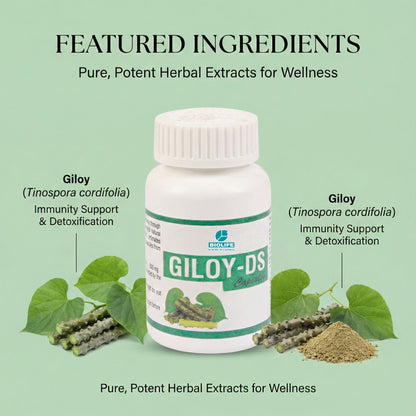 GILOY CAPSULES | Potent Immunity Booster (1x60)