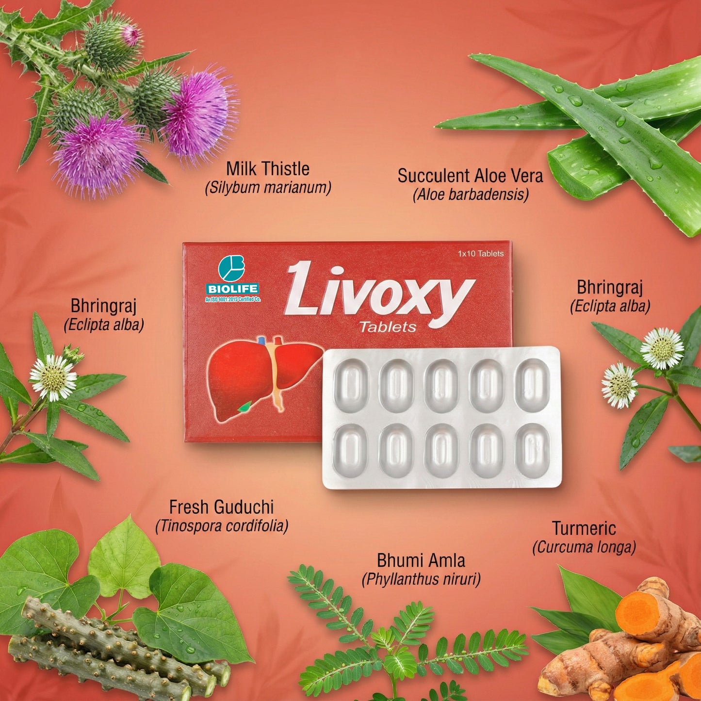 LIVOXY TABLETS |  Promote healthy liver function (1x10x10)
