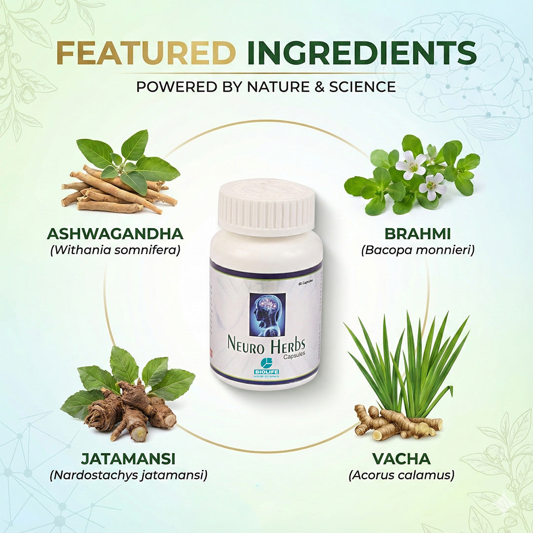 NEURO HERBS CAPSULES |  Brain & Nerve Tonic(1x60)