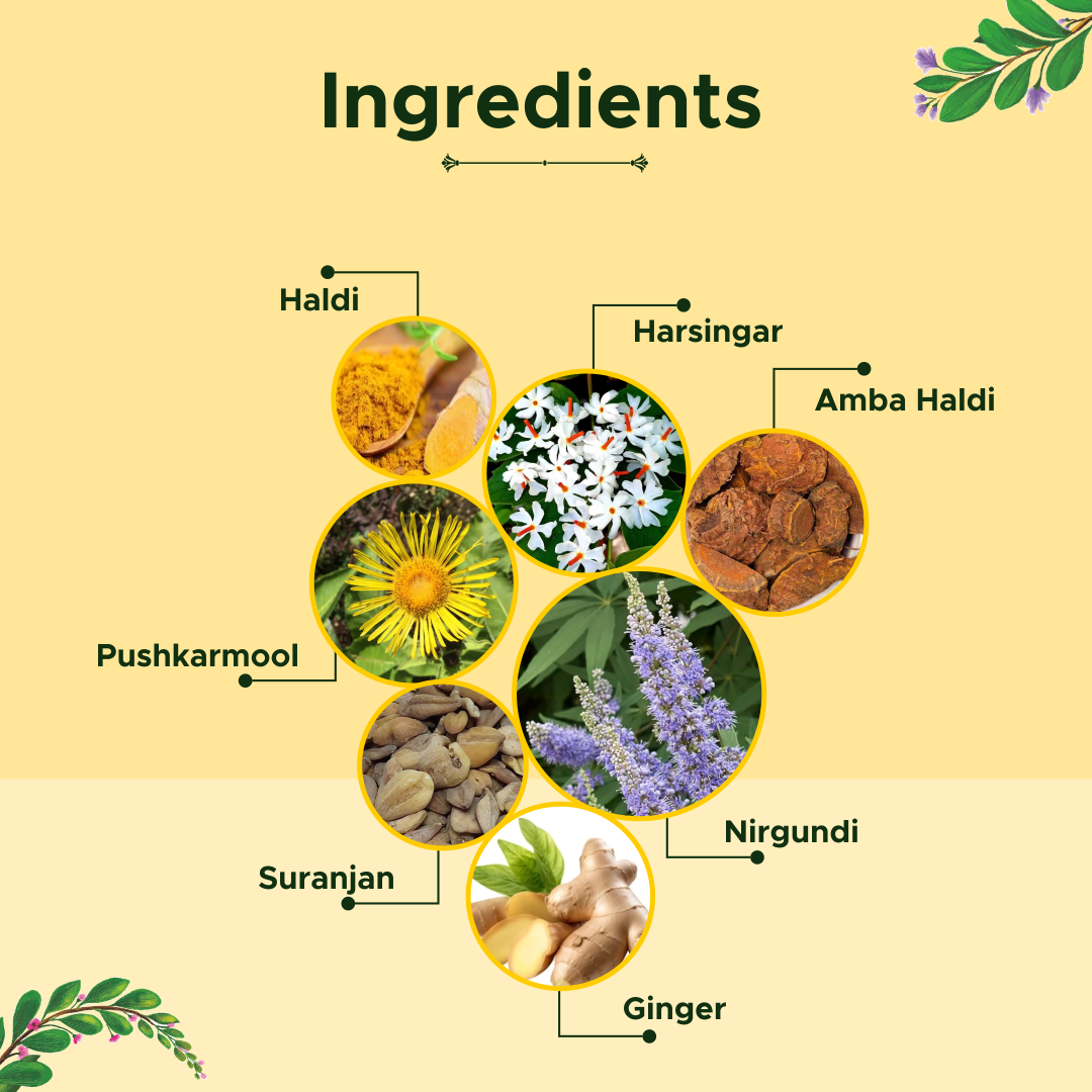 NIRGUNDI PLUS JUICE 500ML