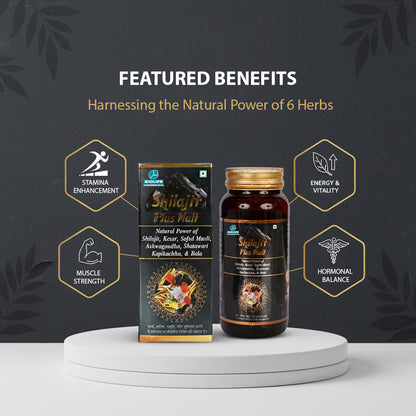 SHILAJIT PLUS MALT | Boosts Vigor &amp; Vitality 400ML