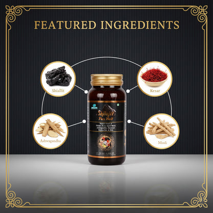 SHILAJIT PLUS MALT | Boosts Vigor &amp; Vitality 400ML