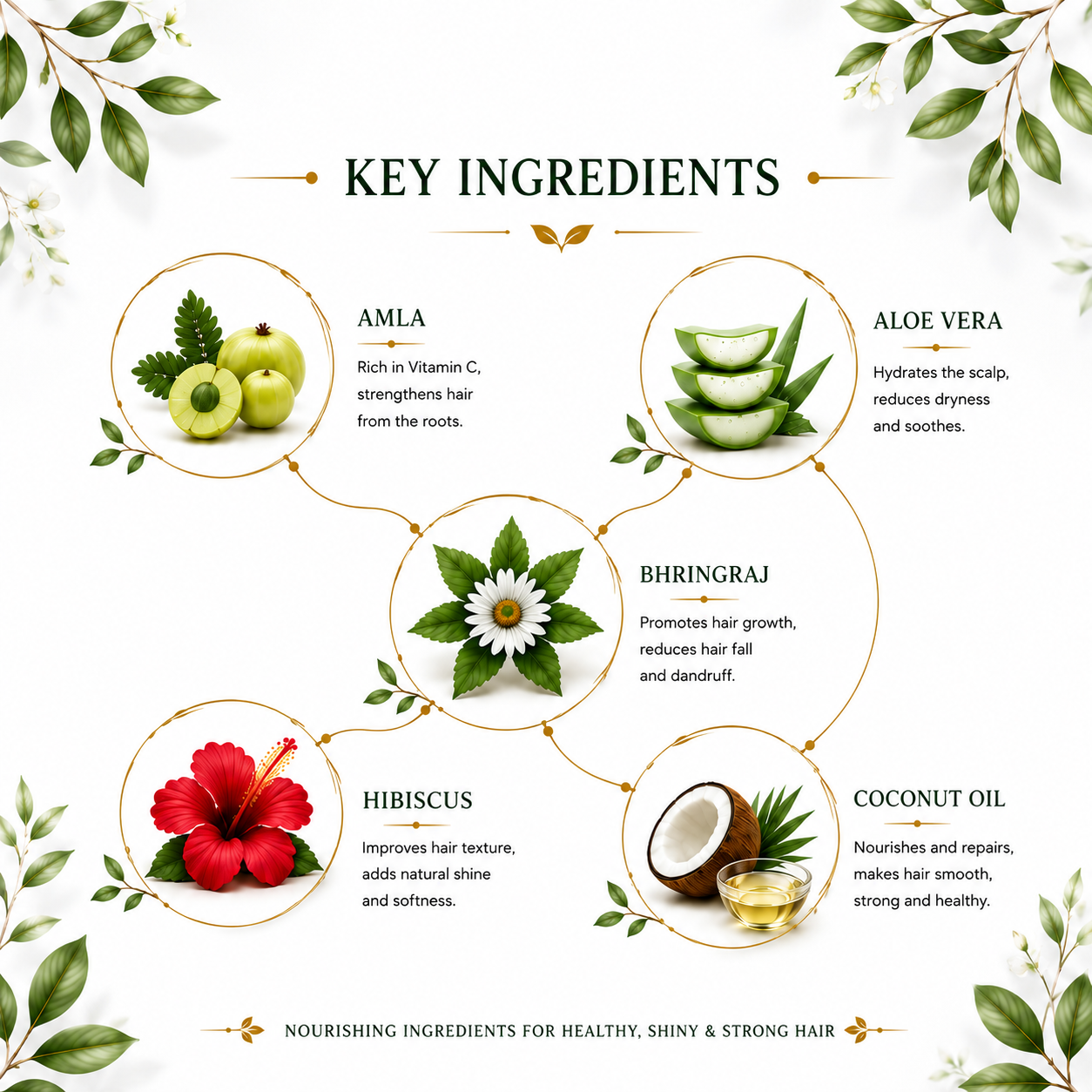 Follishine The Complete Herbal Hair Care Combo for Every Hair Type